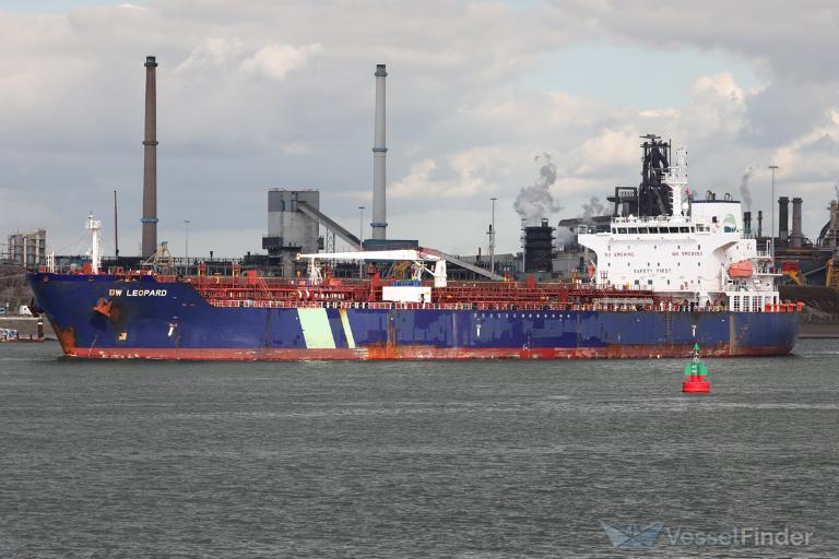 HAFNIA LEOPARD photo