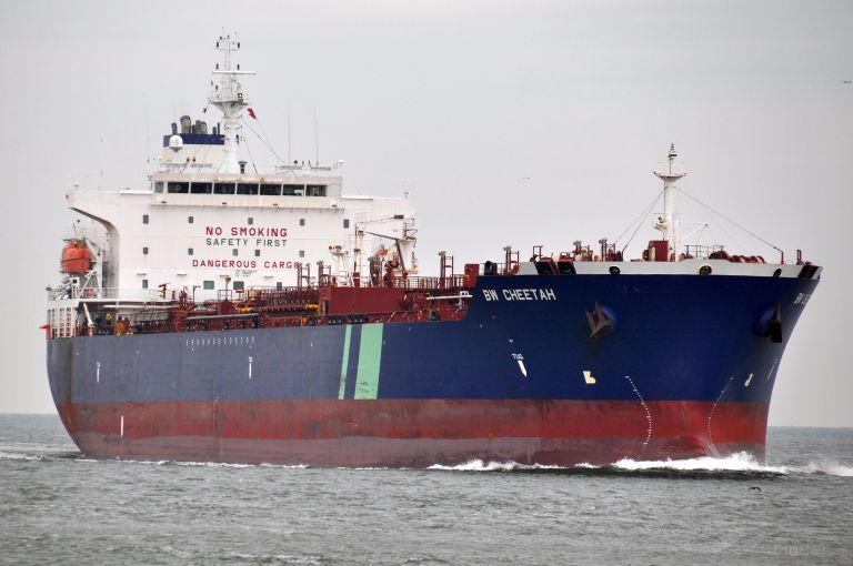 HAFNIA CHEETAH photo