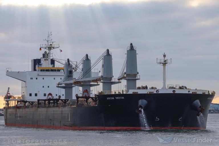 AFRICAN CHEETAH, Bulk Carrier Details and current position IMO
