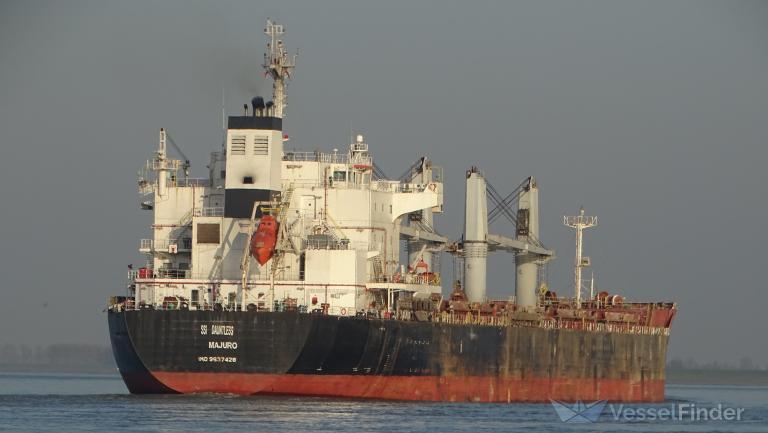 SSI DAUNTLESS