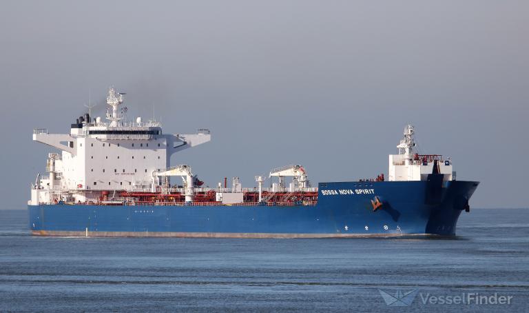 BOSSA NOVA SPIRIT photo