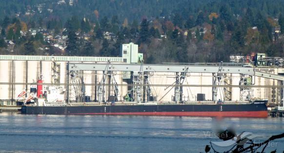 CRIMSON KNIGHT photo