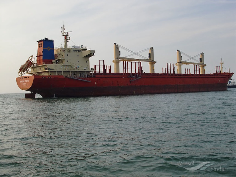 NEPTUNE, Bulk Carrier Details and current position IMO 9640413