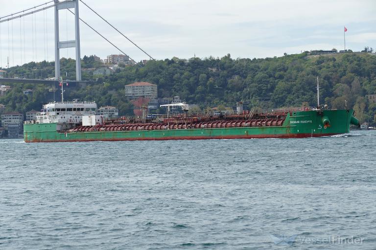 VASILY POLENOV photo