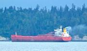 ALGOMA-VISION