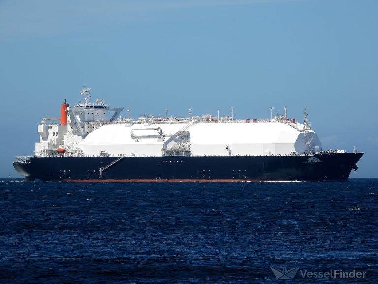 LNG VENUS photo