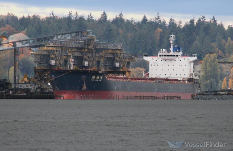 PENG XIANG ZHOU photo