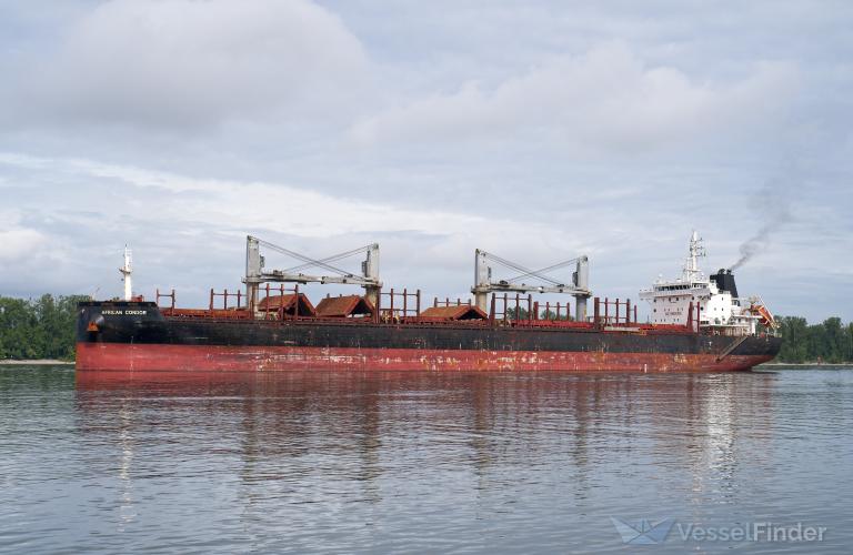AFRICAN CONDOR photo