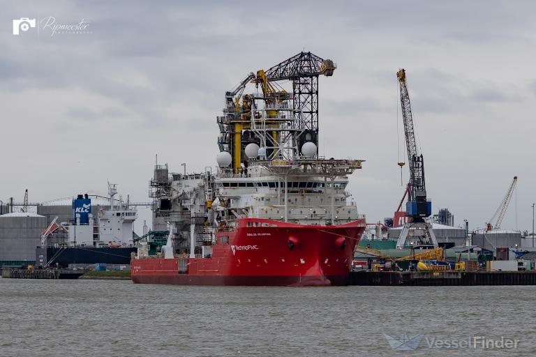 CORAL DO ATLANTICO photo