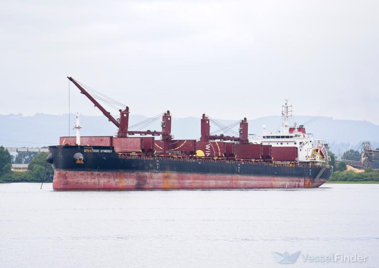 STRATEGIC SYNERGY photo