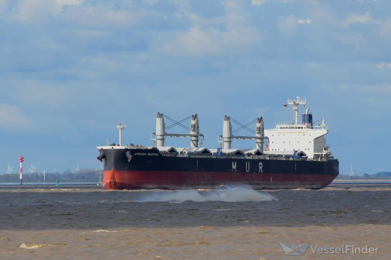 AFRICAN WAGTAIL photo