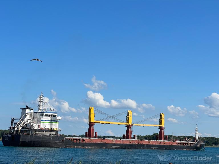 HARVEST SPIRIT photo