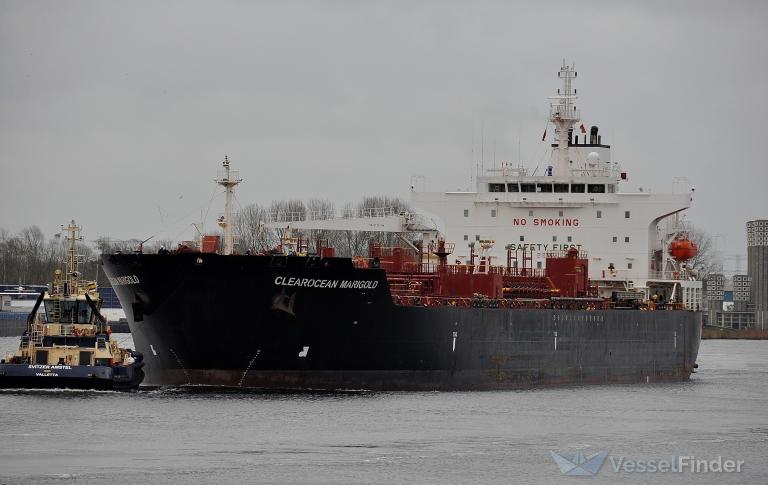 CLEAROCEAN MARIGOLD photo