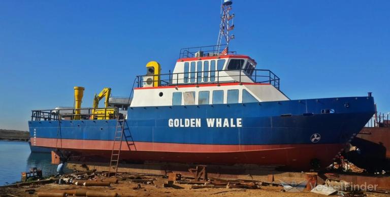 GOLDEN WHALE photo
