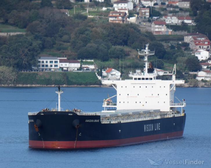 SAKIZAYA BRAVE photo