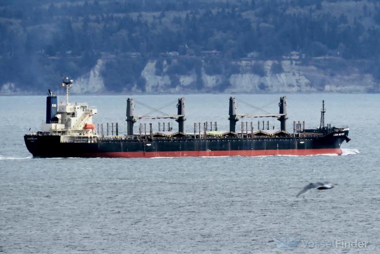 INLACO HARMONY photo