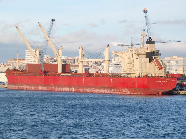 FEDERAL TRIDENT photo