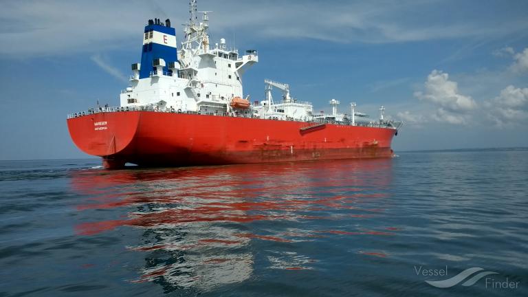 SOPHIE SCHULTE photo