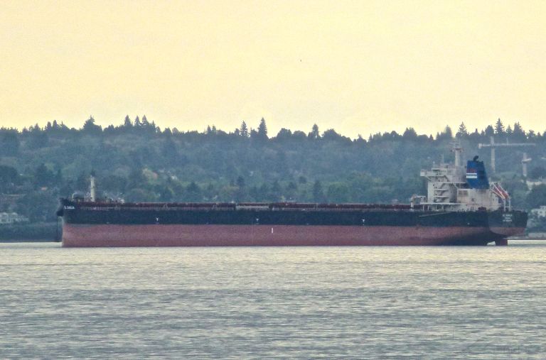 Dl Dahlia Bulk Carrier Detalles Del Buque Y Posicion Actual Imo Mmsi Vesselfinder