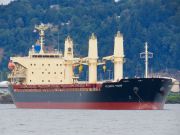 Ship WHITE IVY (Bulk Carrier) Registered in Panama - Vessel details,  Current position and Voyage information - IMO 9370393, MMSI 370126000, Call  sign 3ERP4