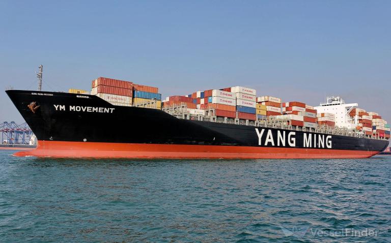 YM MOVEMENT photo