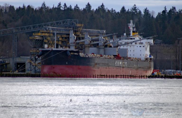 VOSCO JUBILANT photo