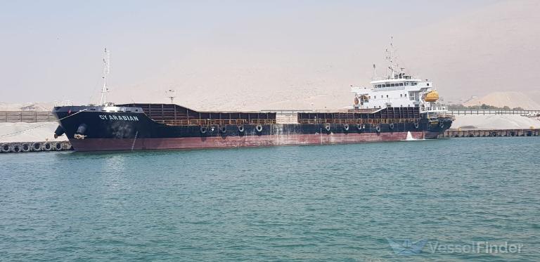 CY ARABIAN photo