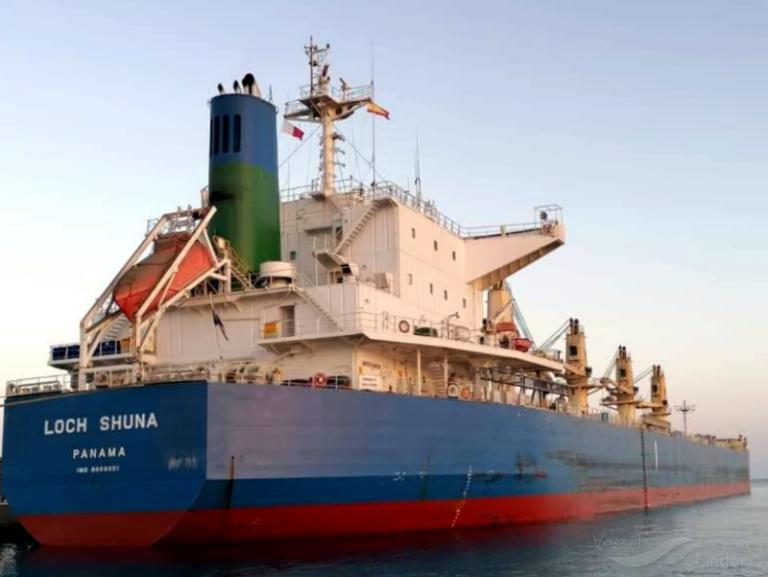 MEGHNA LIBERTY photo