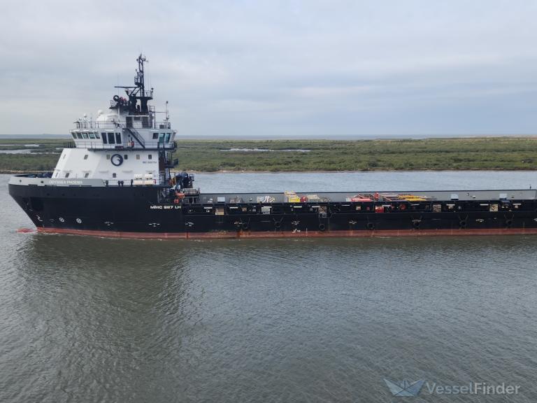 ODYSSEA PHOENIX photo
