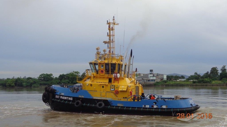 SAAM PARINTINS photo