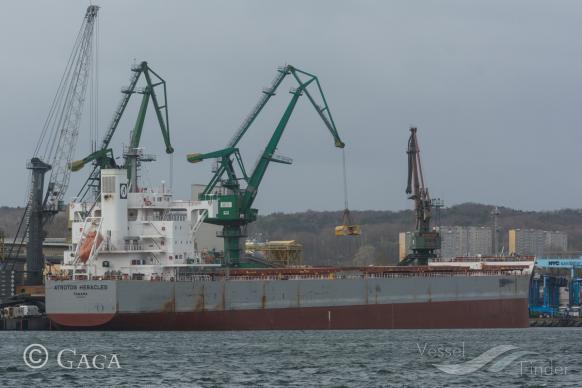 ATROTOS HERACLES photo