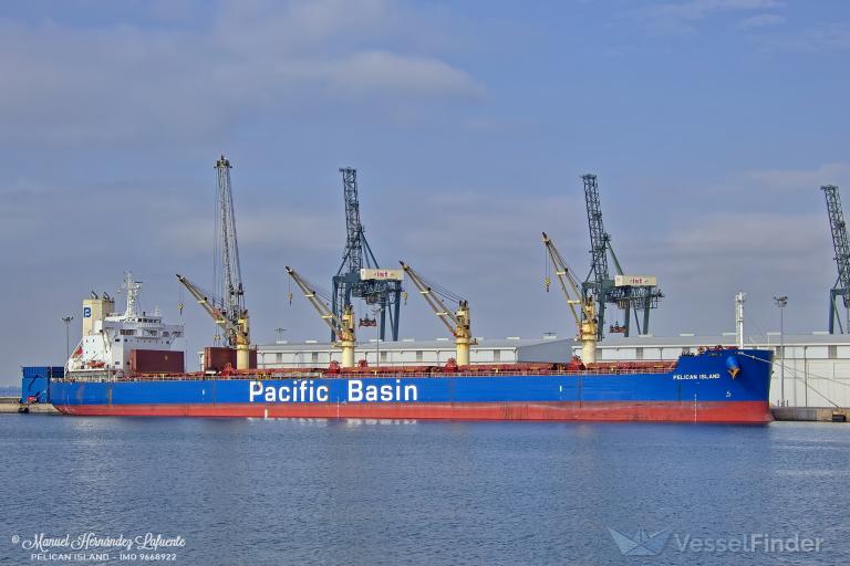 PELICAN ISLAND photo