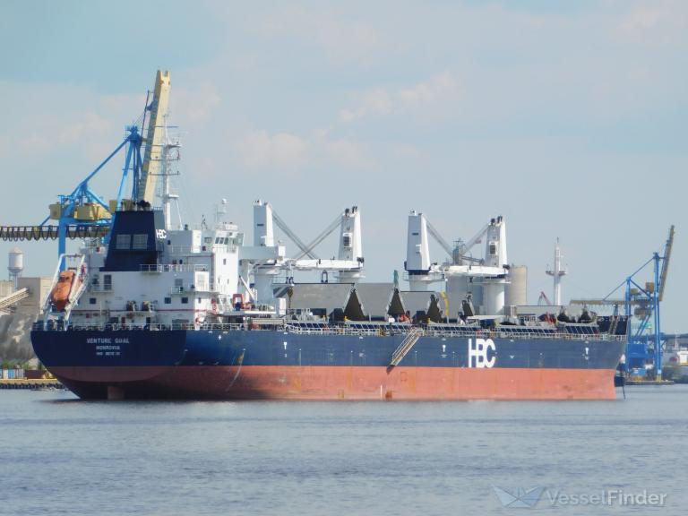 CETUS HUMPBACK photo