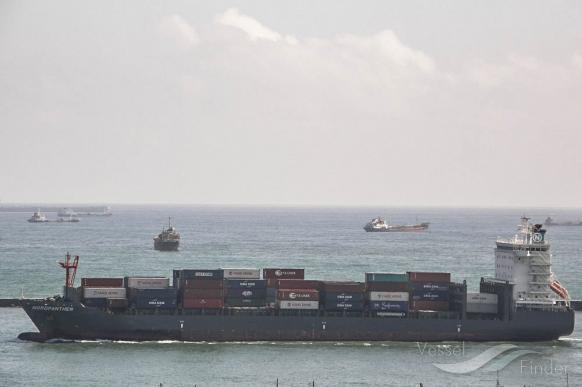 CMA CGM LONGONI photo