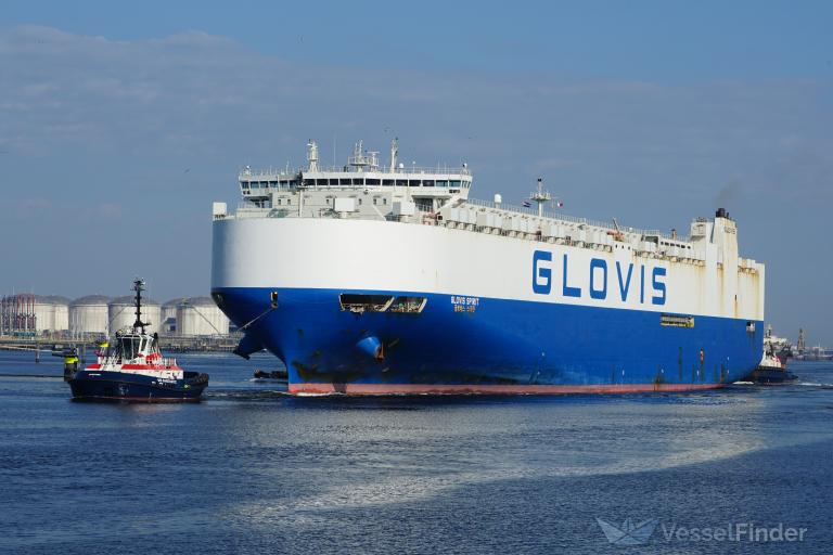 GLOVIS SPIRIT