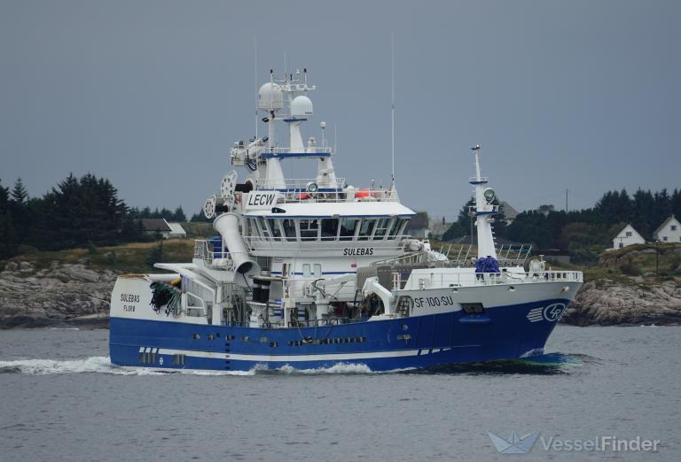 FREKOEY VIKING photo