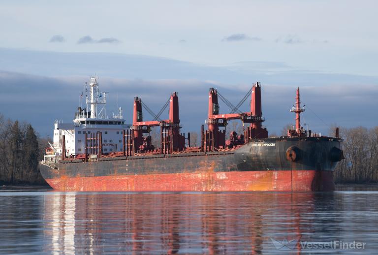 AFRICAN OXPECKER photo