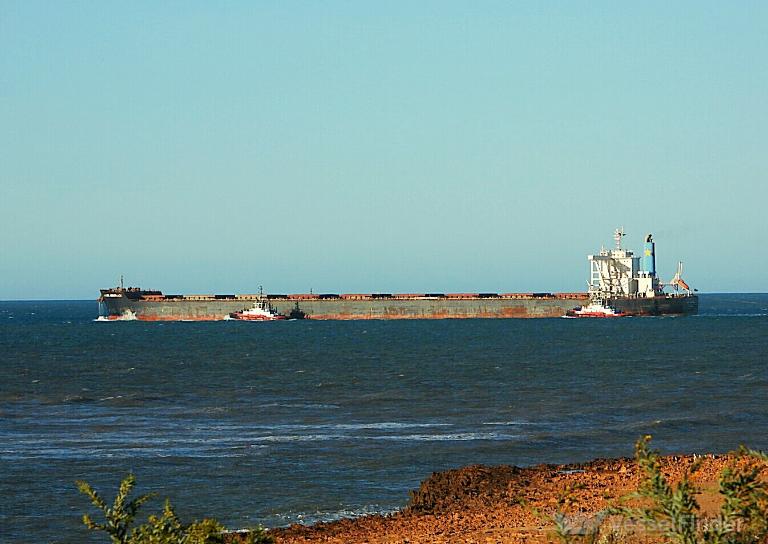 ORIENTAL DRAGON photo