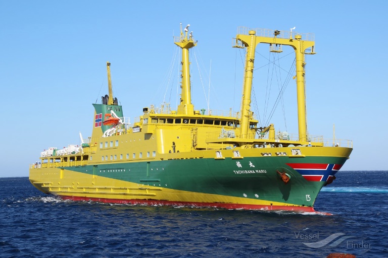 TACHIBANA MARU photo