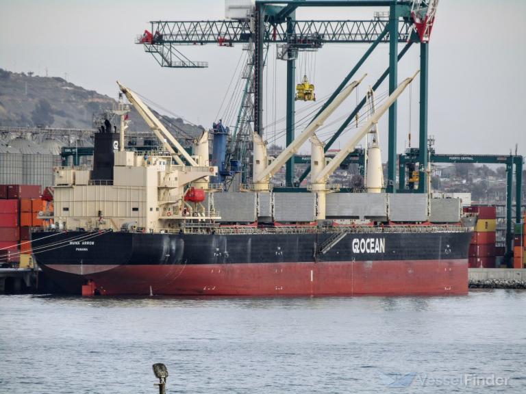 BUNA ARROW, General Cargo Ship Details and current position IMO