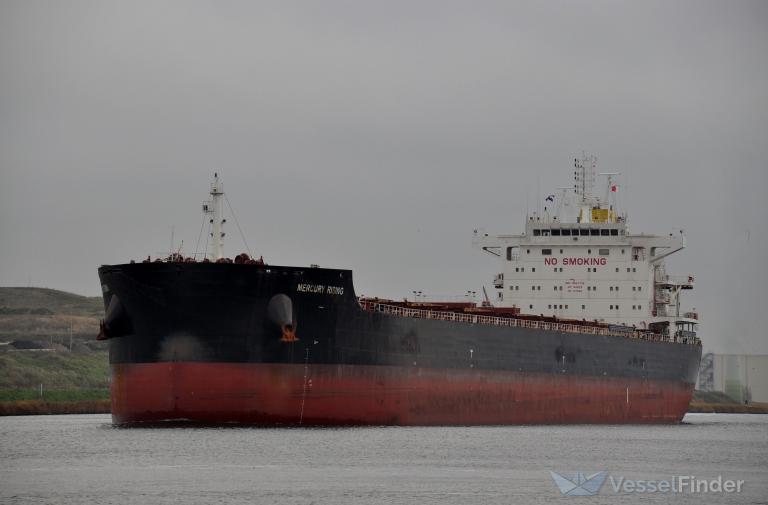 MERCURY RISING photo