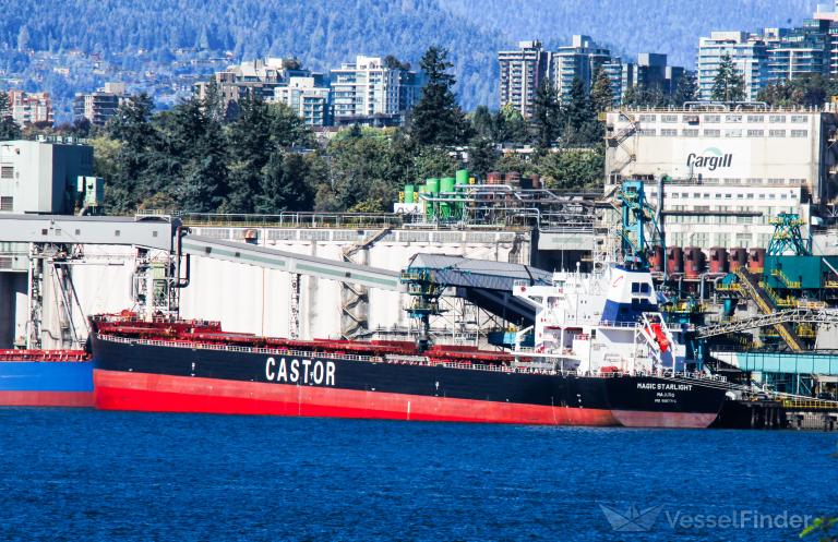 MAGIC STARLIGHT photo