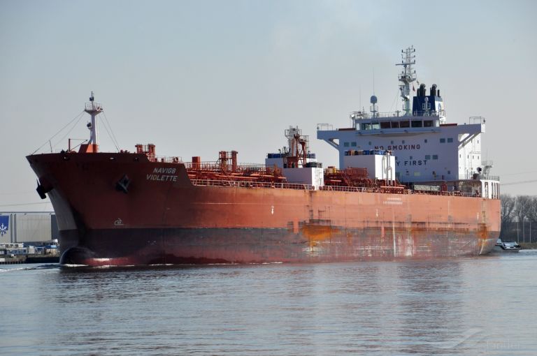 HAFNIA VIOLETTE photo