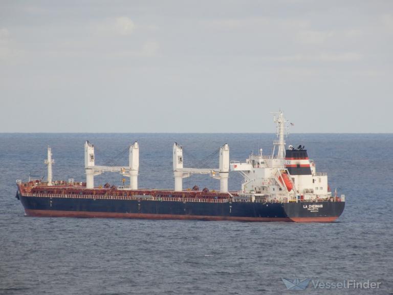 AFRICAN ROADRUNNER photo