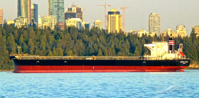 MORNING SALUTE photo