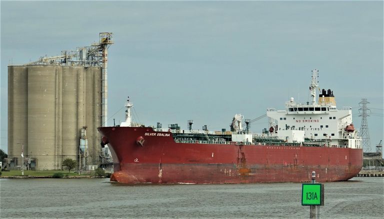 SILVER EBALINA photo