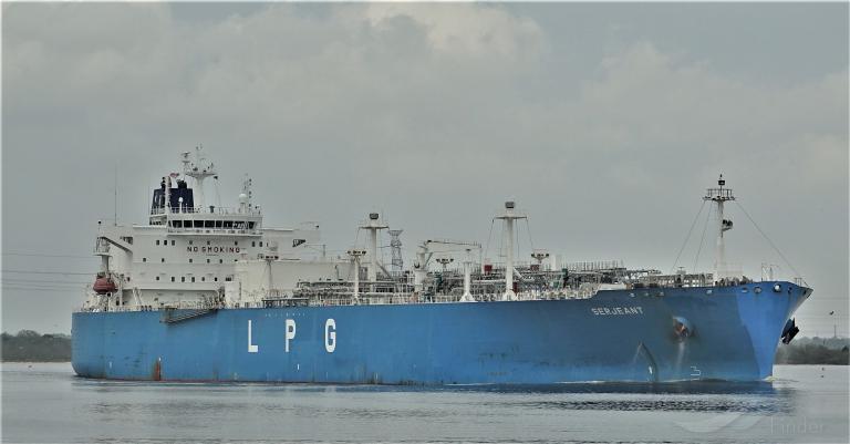 NAVIGARE GAIA photo