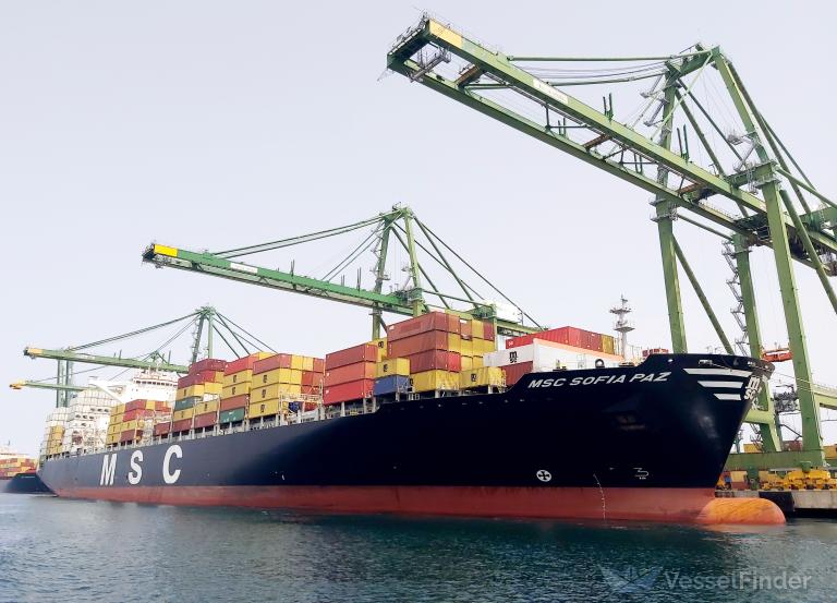 MSC SOFIA PAZ photo