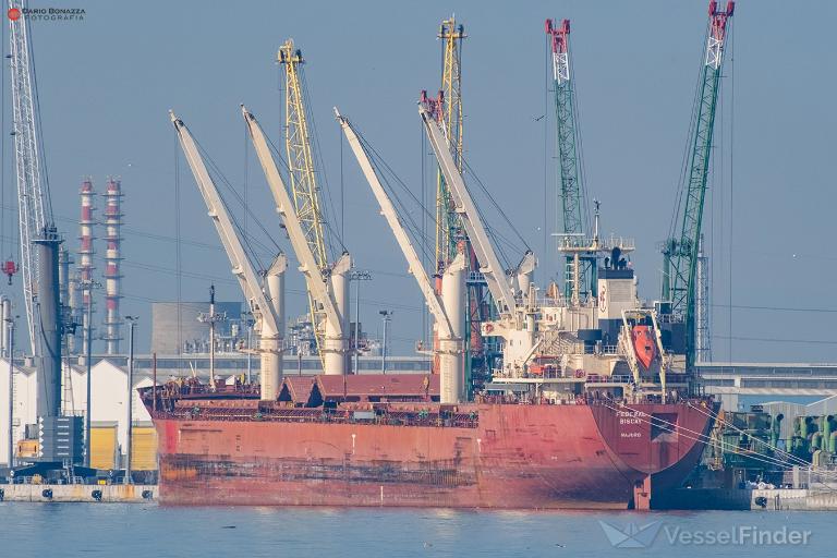 FEDERAL BISCAY photo