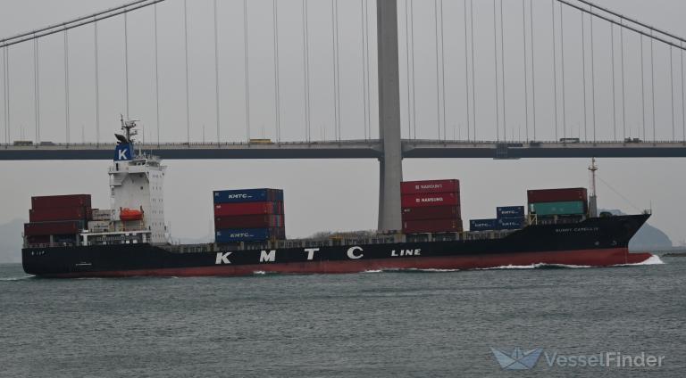 SUNNY.CAMELLIA photo